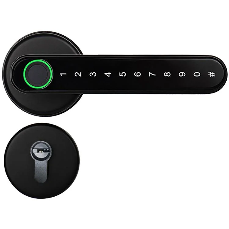 Digital Door Lock Security Intelligent Lock with Remote Control E-Lock Ttl Fingerprint Smart Lock